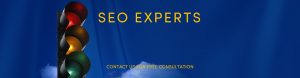 Bay Area SEO company - C3i3